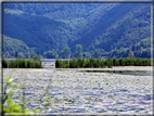 foto Lago di Fimon